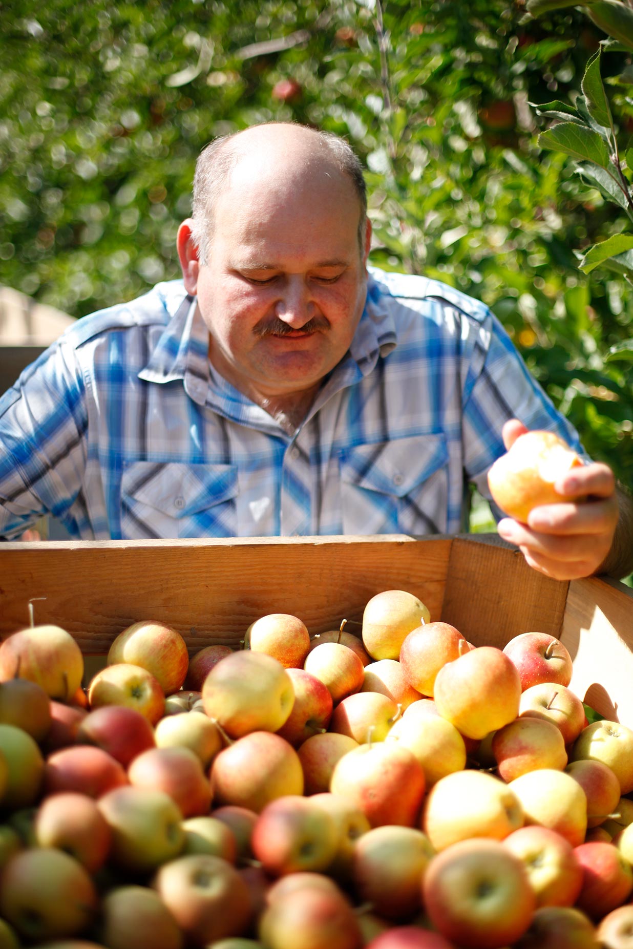 Pommes Vergers Hecky