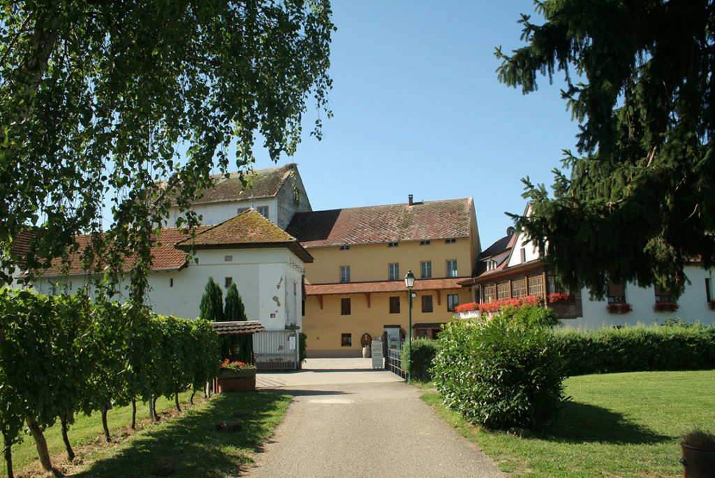 Domaine-Muller